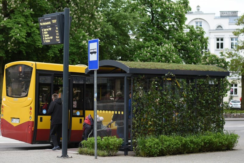 Urząd Miasta Ciechanów - zielony przystanek