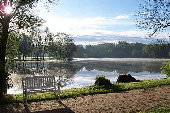 Pałac w Radziejowicach