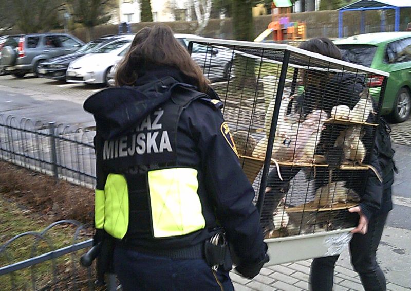 Warszawa - Uciążliwi lokatorzy na Targówku