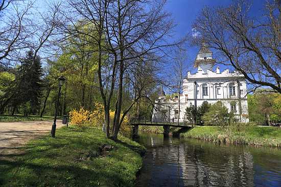 Pałac w Radziejowicach