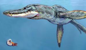 Fragmenty kości potężnych, morskich drapieżników sprzed 150 mln lat odkryto pod Iłżą.